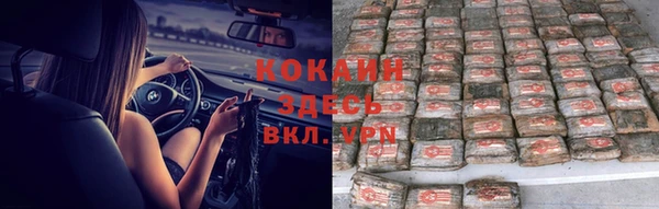 шишки Алзамай