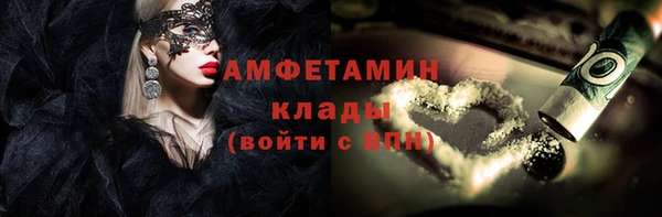 молекула духа Алексеевка