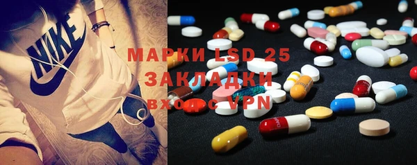 шишки Алзамай