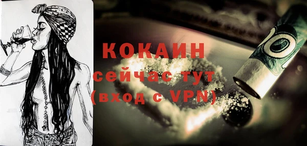 молекула духа Алексеевка