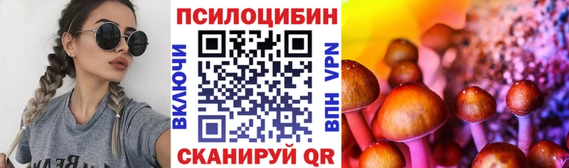 где продают наркотики  Гурьевск  Галлюциногенные грибы Cubensis 